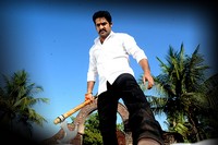 NTR Dammu Exclusive Stills